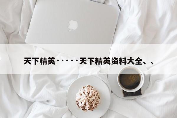 天下精英·····天下精英资料大全、、